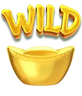 สัญลักษณ์ Wild 